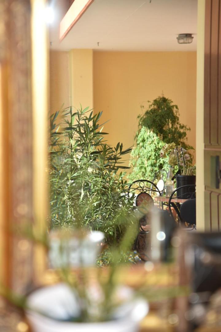 阳光花园疗养酒店 于伯林根 外观 照片